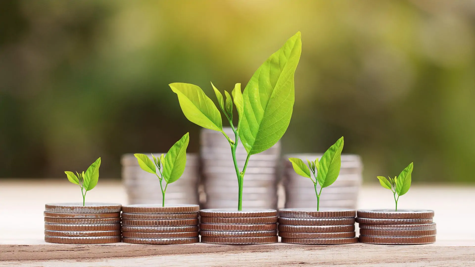 Foto do artigo Pare de gastar, comece a INVESTIR!
