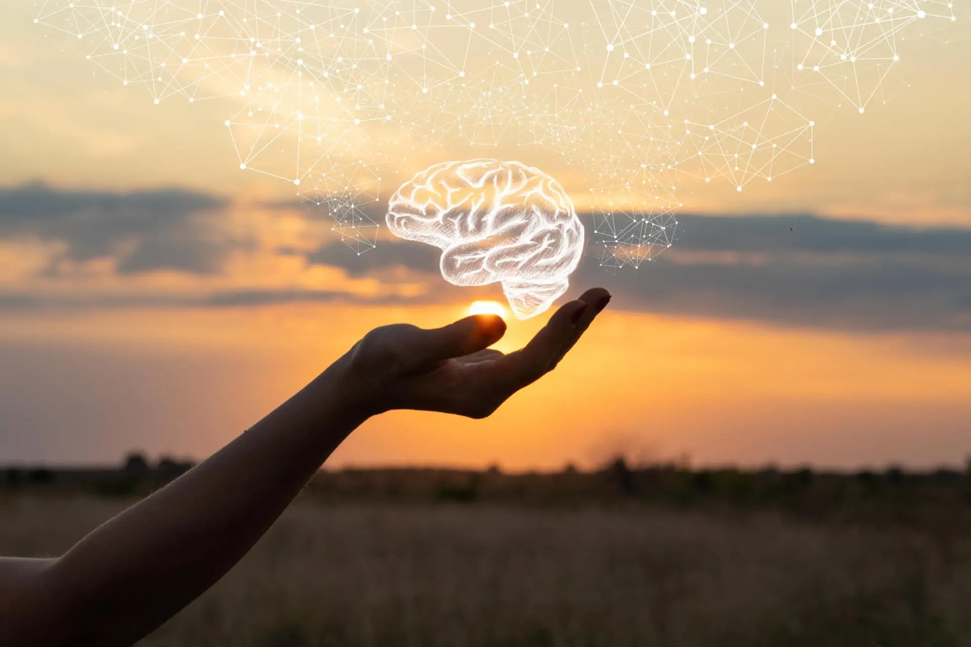 Foto do artigo Mente alienada x mente focada – como mudar seu mindset